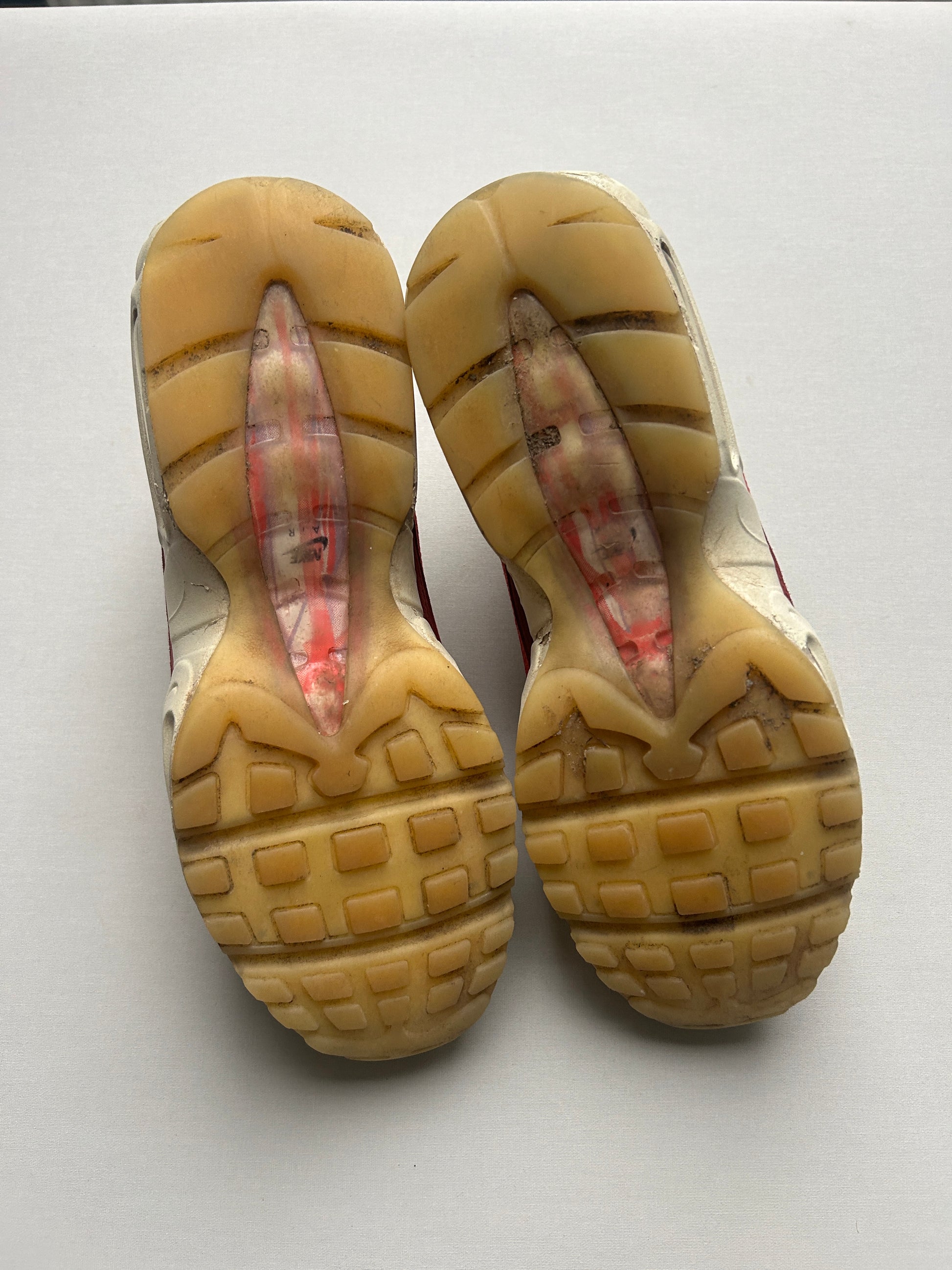 AIR MAX 95 “ANATOMY OF AIR” 44EU