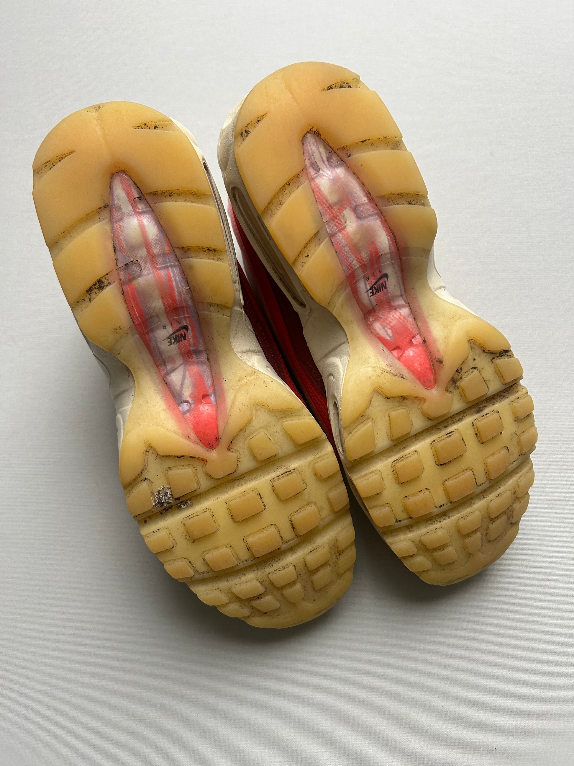 AIR MAX 95 PRM “ANATOMY OF AIR” 42,5EU