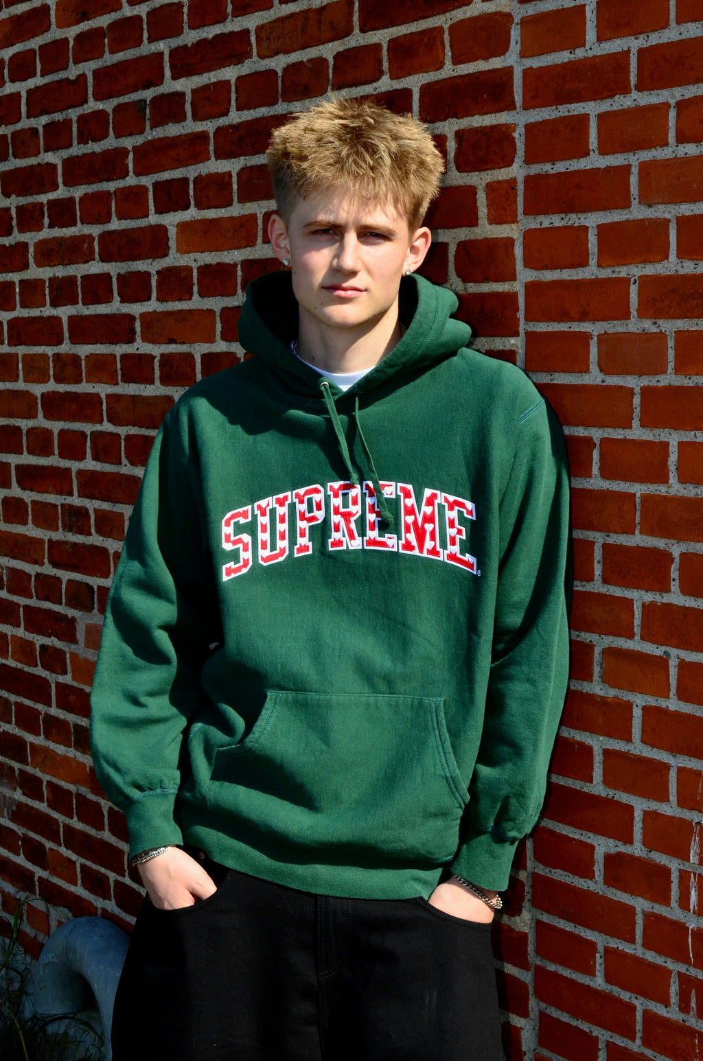 SUPREME HEARTS ARC HOODIE (L)