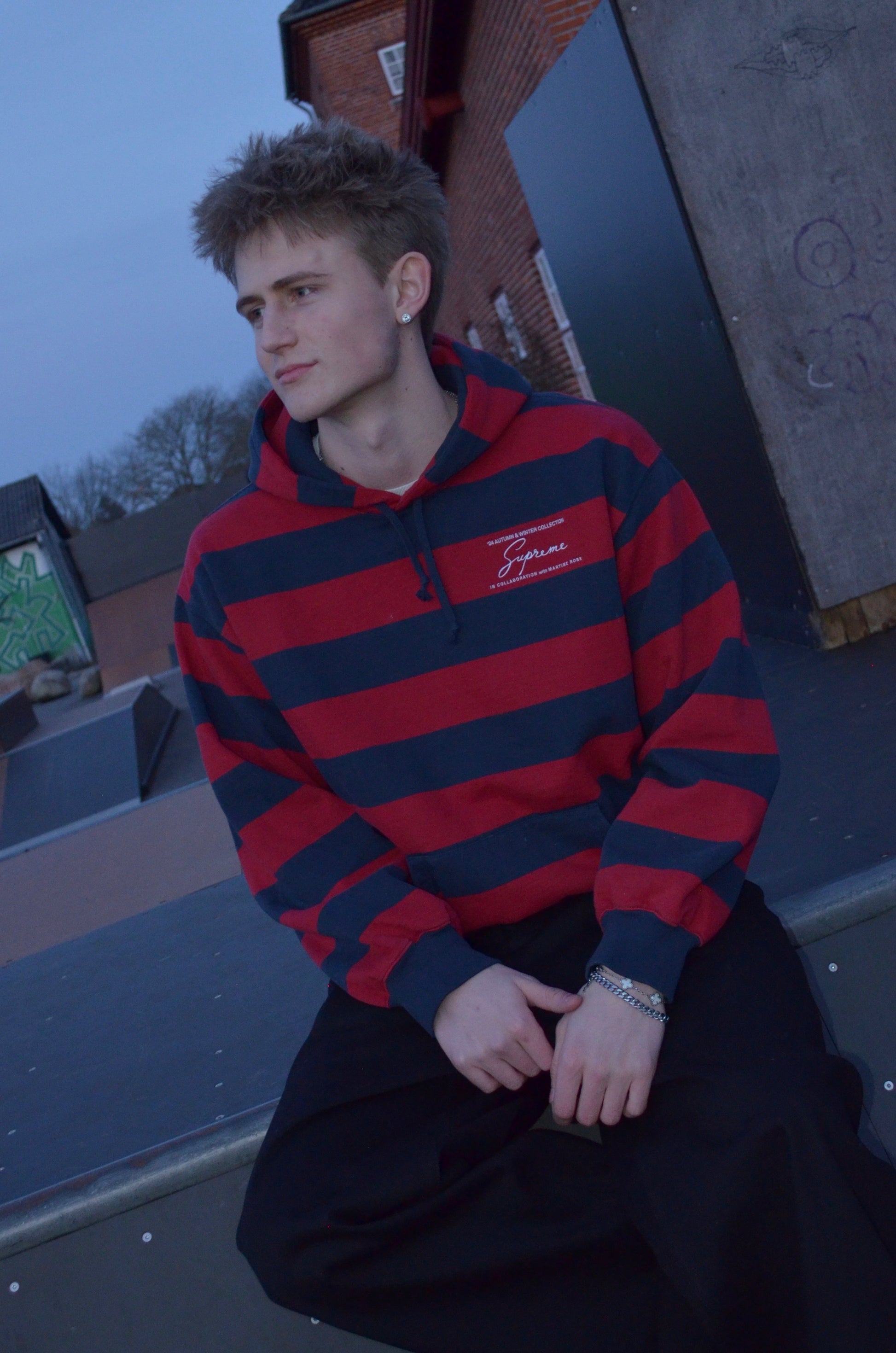 SUPREME X MARTINE ROSE HOODIE (L)